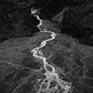 Meet your Posher, Todd